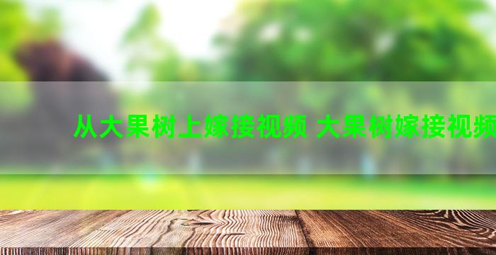 从大果树上嫁接视频 大果树嫁接视频教程